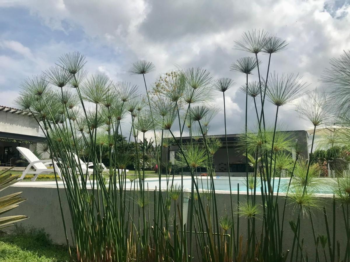 קימבאיה Torcaza Casa De Campo מראה חיצוני תמונה